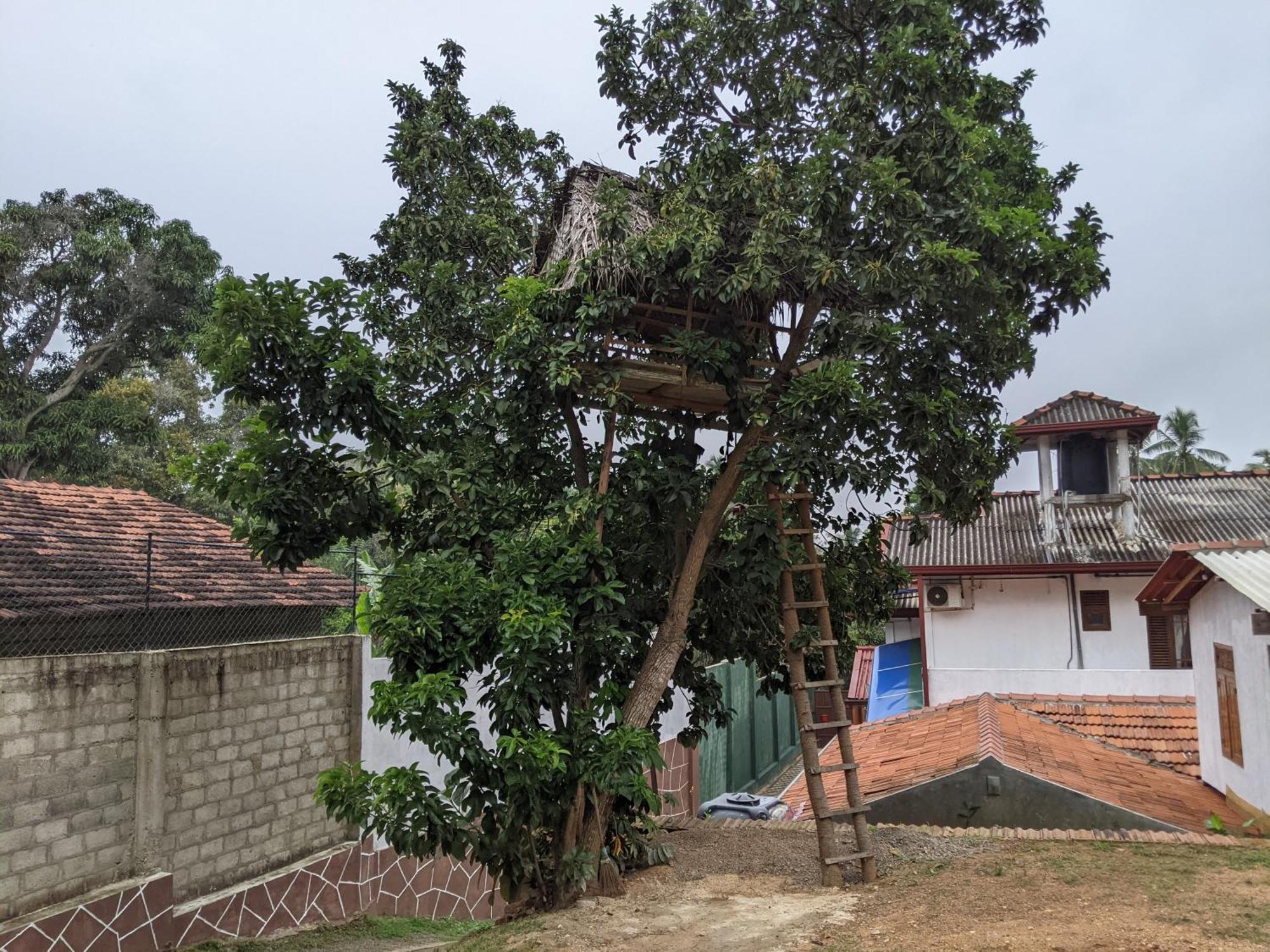 Serendip Villa Holiday Home Talalla Sri Lanka Room photo